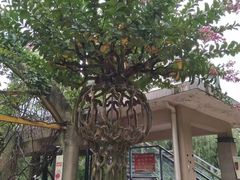 -昆明动物园