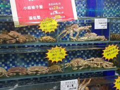 -海岛渔村大酒店(云霄路店)