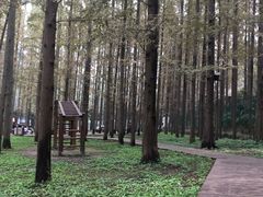 -南京金牛湖风景区