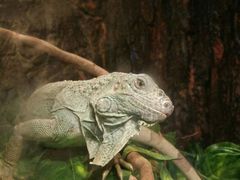 -多彩贵州城极地海洋世界