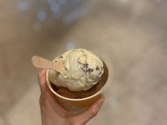 黑巧克力冰淇淋-LUNEURS月乐诗 冰淇淋咖啡(环贸店)