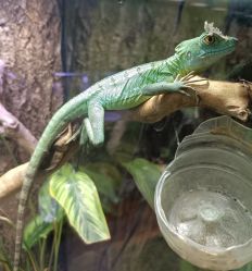 -酷嗒动物文化乐园(cutezoo西溪乐天城店)