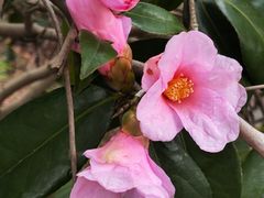 -杭州西湖风景名胜区-钱祠表忠