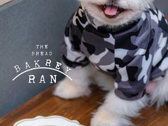 洋梨塔-RAN BAKERY