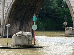 -运河游船(武林门码头)