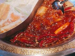 -辣伍鲜毛肚老火锅(元一店)