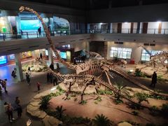 -自贡恐龙博物馆