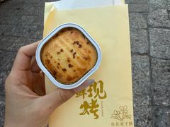 -嘉华鲜花饼(束河店)