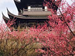 -范蠡湖公园