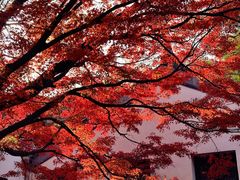 -无锡惠山寺