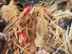 -煲来饱去冷水鱼