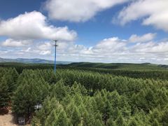 -塞罕坝国家级自然保护区