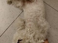 -MOI COFFEE(江山汇悦山府店)