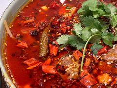 -新雅粤菜馆(南京东路店)