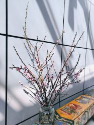 -无界瑜伽普拉提