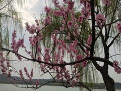 -石湖景区