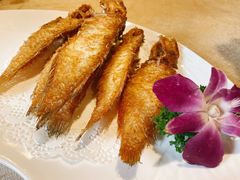 -金穗园·砂锅粥.醉鸡煲火锅(长寿路店)