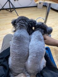 -一个差评成就的纹眉店