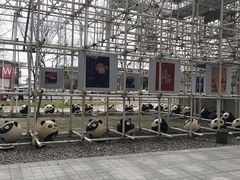 -证大喜玛拉雅中心
