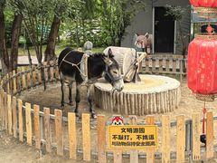 -水上乐园·欢乐世界