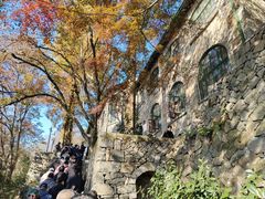 -莫干山风景区