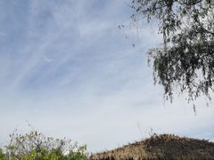 -桤木河湿地公园