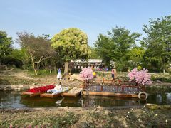-鹅湖玫瑰文化园