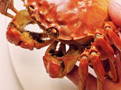 -美未居·老字号·地道顺德菜·桑拿鸡·鱼生(容桂店)