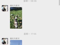 -趣玩宠物乐园寄养训犬训狗游泳池