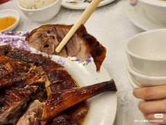 -沙田新强记烧鹅海鲜酒家