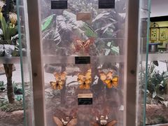 -陕西自然博物馆