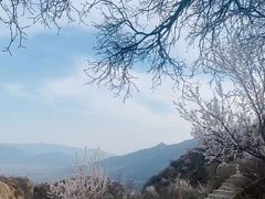 -北京凤凰岭