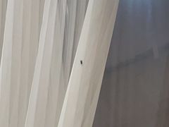 -域乐楼清真饭庄(华北路店)