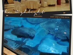 -金龙渔港(双楠店)