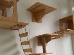 -美联众合动物医院·24h京西诊疗中心