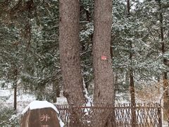 -香山公园