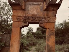 -铁山坪森林公园