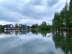 -白鹭湾湿地公园
