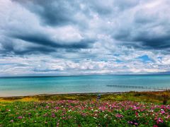 -青海湖国家重点风景名胜区