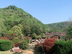 -桃花岭景区