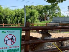 -苏州太湖西山岛开心农场