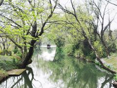 -西溪国家湿地公园