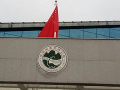 -嘉荫恐龙国家地质公园