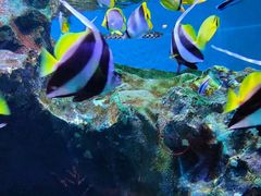 -海合安成都极地海洋公园