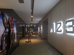 -汉阳天河电影城(王家湾店)