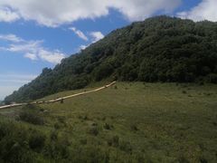 景点-白草畔自然风景区