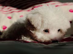 -沐沐家宠物(成寿寺店)