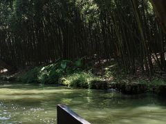 -同里国家湿地公园
