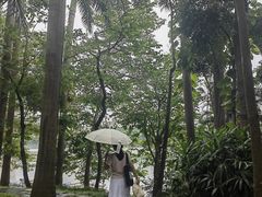 -南宁南湖公园