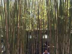 -新竹里馆·花园餐厅(兴苑路店)